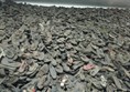 Auschwitz room full of shoes