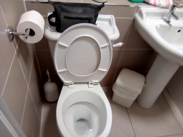 Loo