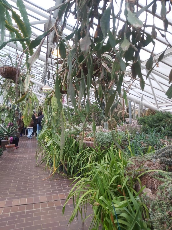 Image of the Barbican Conservatory
