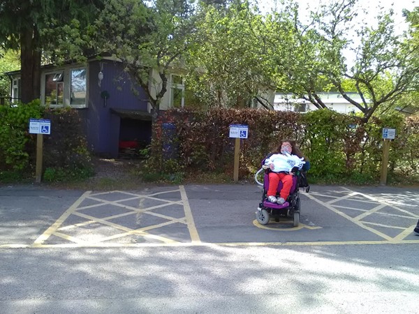 Picture of Phoenix Café Findhorn