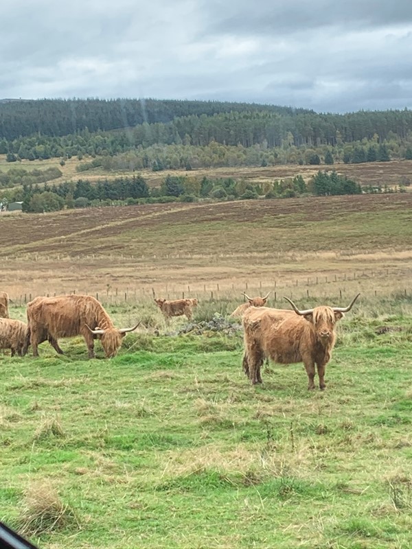 Picture of Moniack Mhor Scotland's Creative Writing Centre