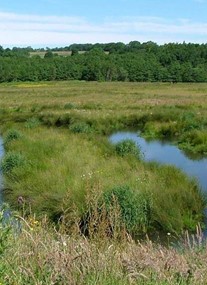 Low Barns Nature Reserve & Visitor Centre