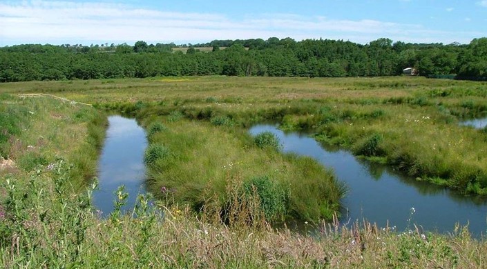 Low Barns Nature Reserve & Visitor Centre