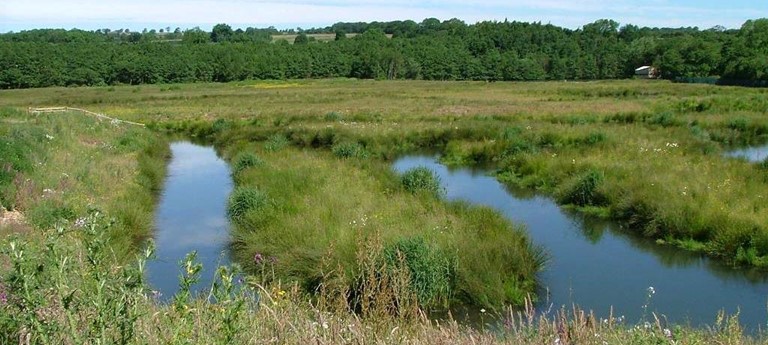 Low Barns Nature Reserve & Visitor Centre