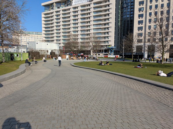 Image of paths at the park
