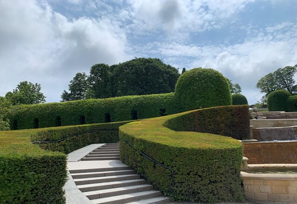 Stairs and hedges