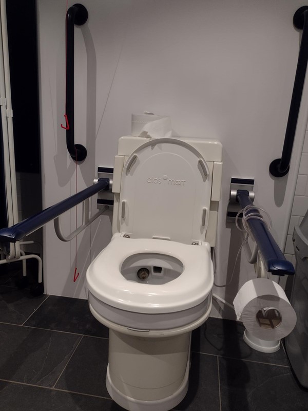 Picture of an accessible toilet