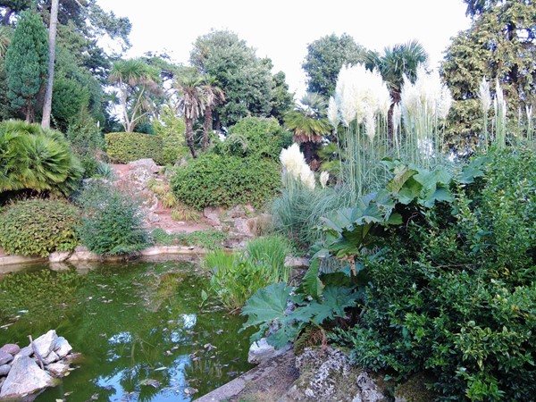 Grotto Garden