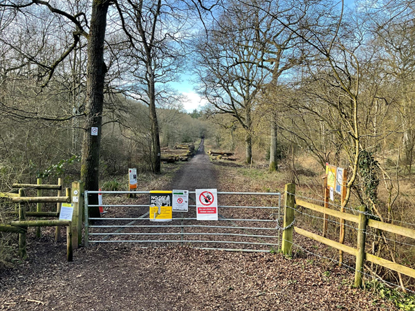 Picture of a gate into woodland