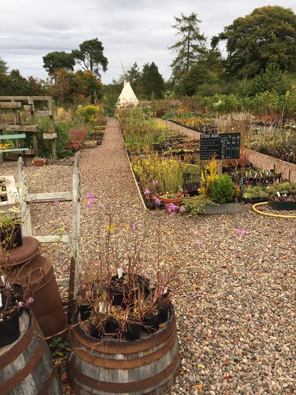 Whitmuir the Organic Place, Edinburgh