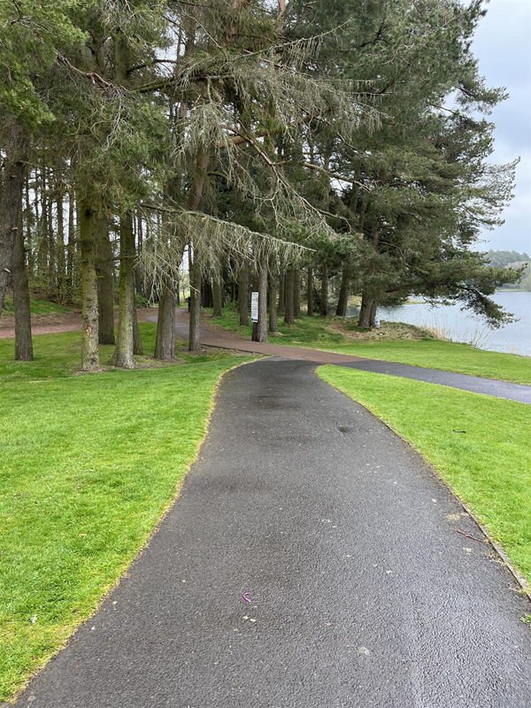 Tarmac path off into the woods