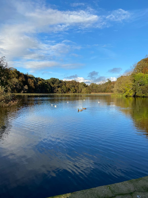 Picture of a lake