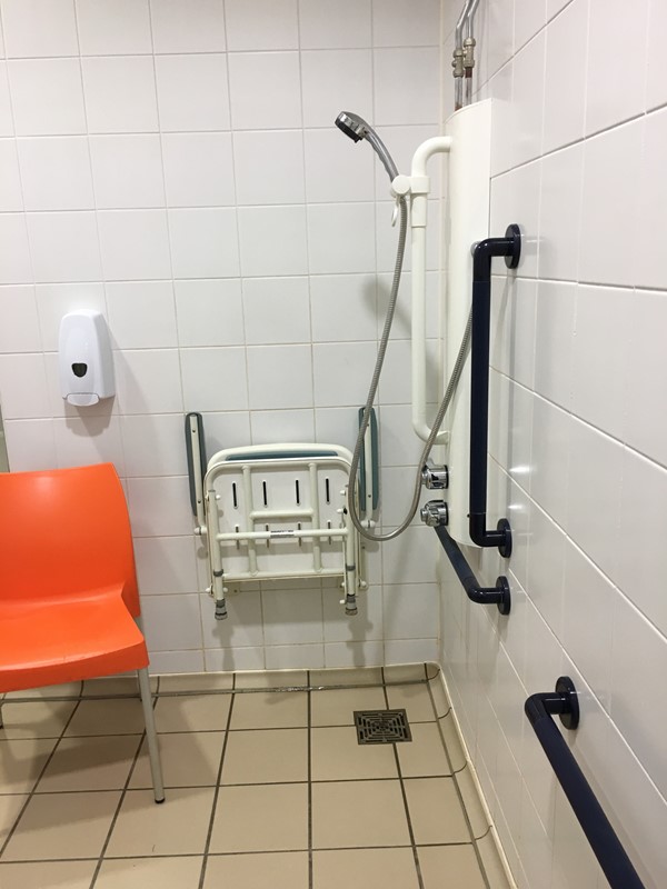Accessible Shower