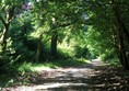 Beautiful, tree lined, accessible paths.