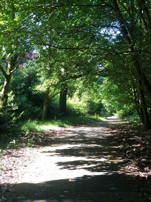 Beautiful, tree lined, accessible paths.