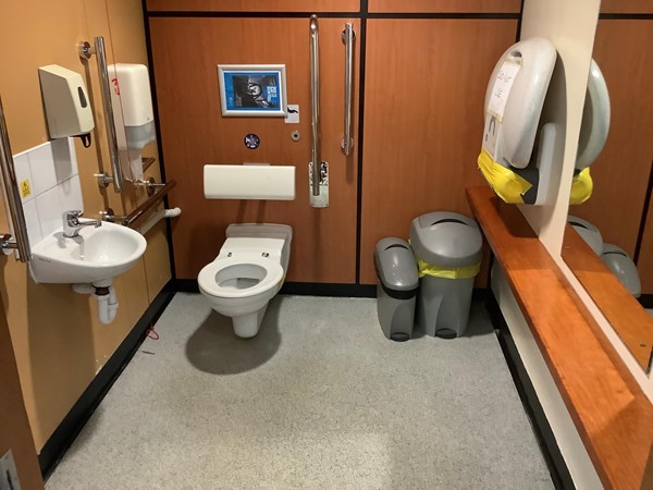10 disabled toilet