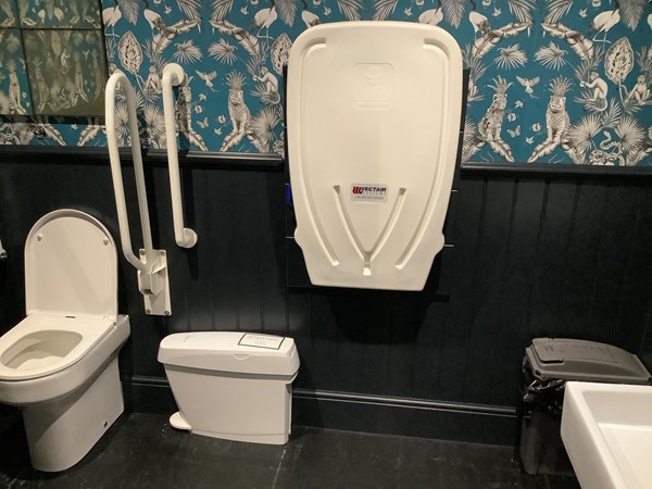 15 disabled toilet