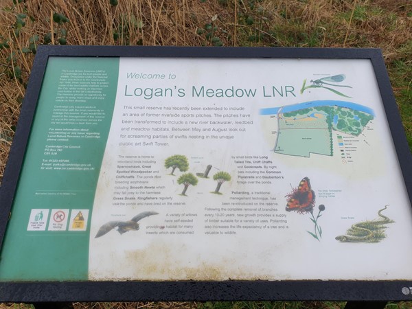 Picture of Logan's Meadow