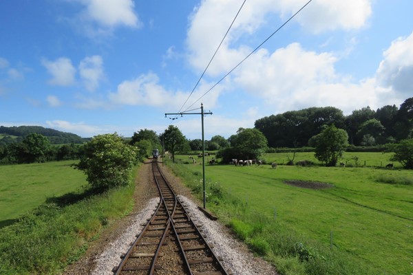 Picture of Seaton Tramway