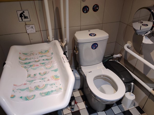 An enormous baby cot taking up nearly half of the entire supposedly accessible toilet.