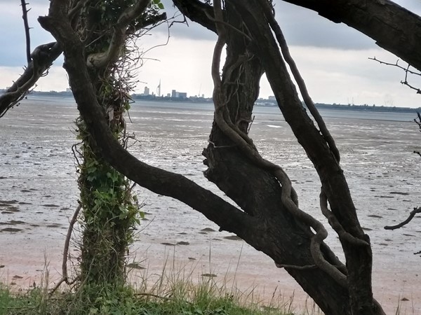 The view over Langston Harbour to Portsmouth from the trail