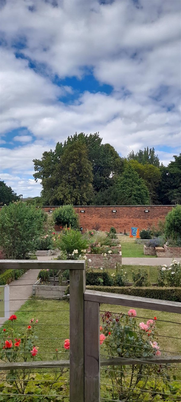 Image of a garden