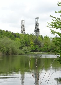 Vicar Water Country Park