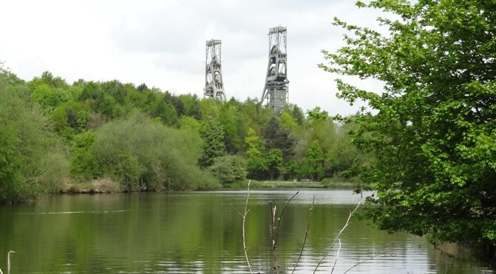 Vicar Water Country Park