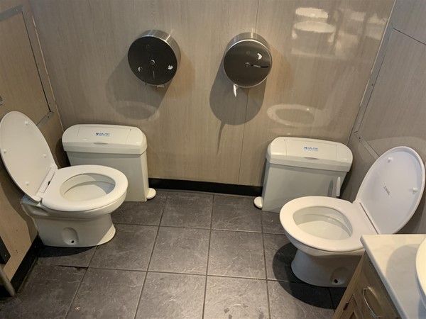 Image of twin toilets