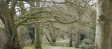 Loughbrickland Walk - Whyte’s Estate