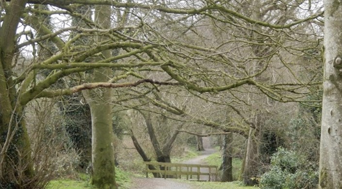 Loughbrickland Walk - Whyte’s Estate