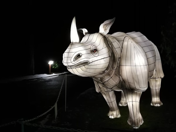 Rhino Lantern