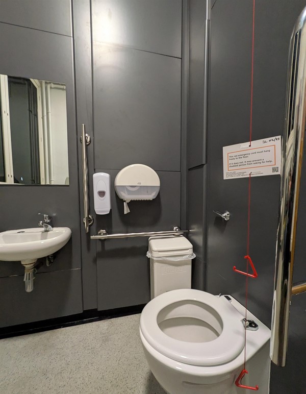 Image of the accessible toilet