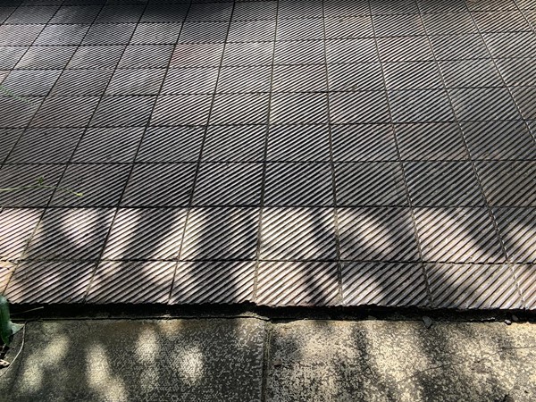 image of the floor inside the greenhouse as it transitions from stone to tile