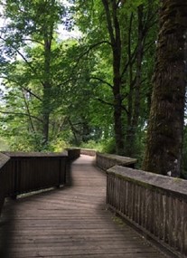 Billy Frank Jr. Nisqually National Wildlife Refuge