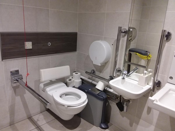 Accessible toilet