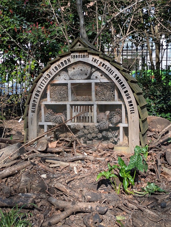 Image of bug hotel