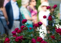 Buckingham Palace: Sensory Garden tour