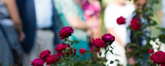 Buckingham Palace: Sensory Garden tour article image