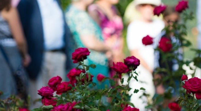 Buckingham Palace: Sensory Garden tour