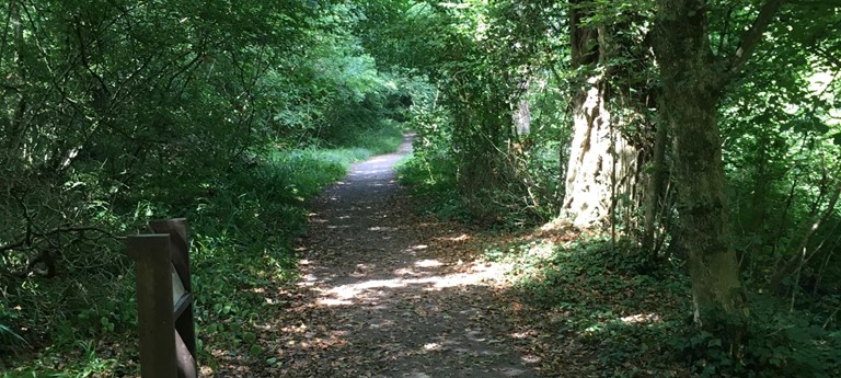 RSPB Swell Wood