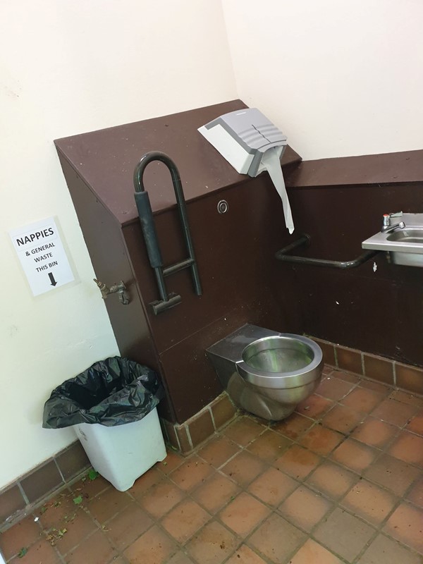 Image of disabled toilet.