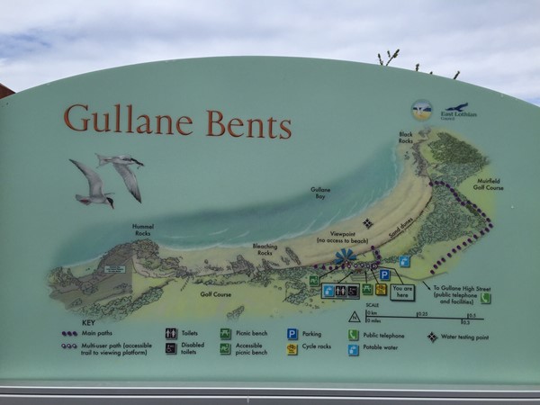 Picture of Gullane Bents - Sign