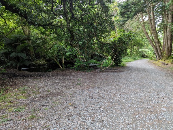 A photo of the terrain

A forest with a gravel path, sloping downhill.