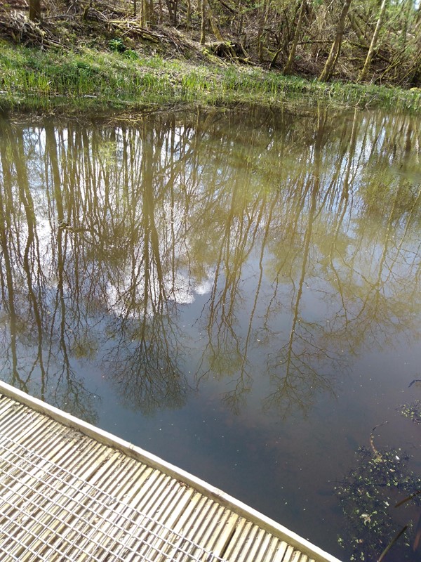 Picture of  a walkway by a pond
