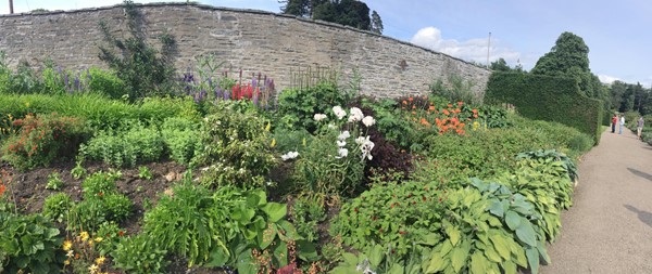 Example of Garden bed.