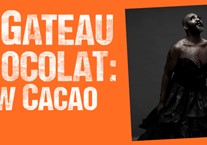 Le Gateau Chocolat: Raw Cacao