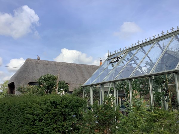 Greenhouse