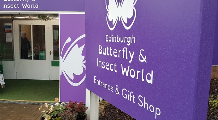 Edinburgh Butterfly & Insect World