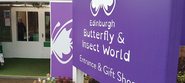 Edinburgh Butterfly & Insect World